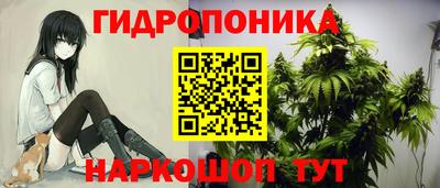 гидра Вязники