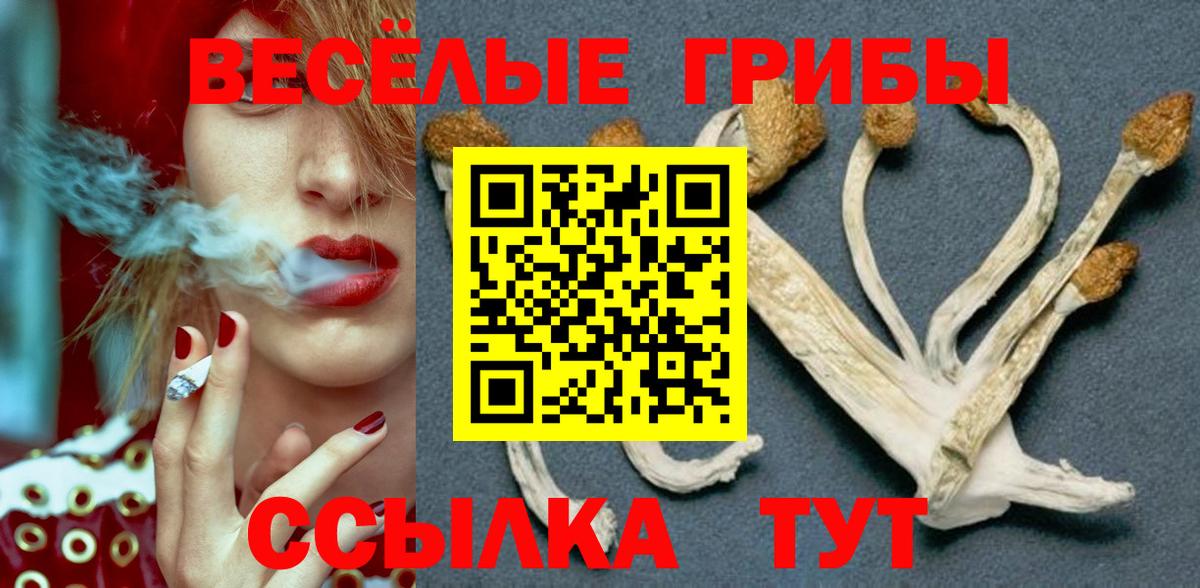 Псилоцибиновые грибы Magic Shrooms Волгодонск
