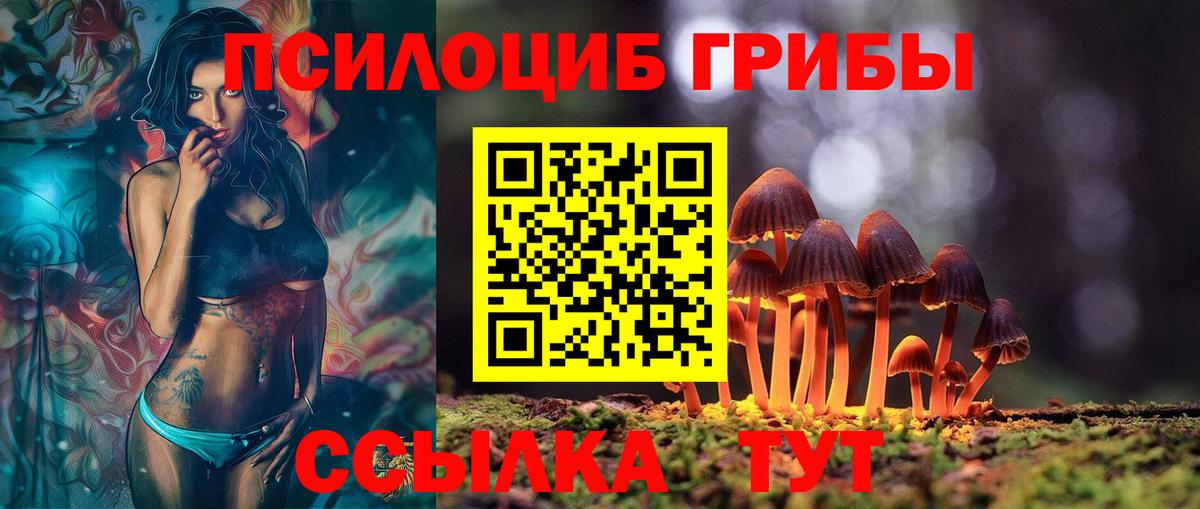 закладки  Галлюциногенные грибы Psilocybine cubensis  Вход с VPN  Волгодонск  Галлюциногенные грибы Psilocybe 